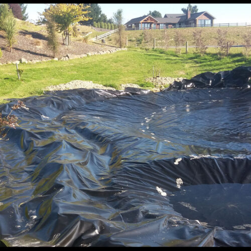 Pond